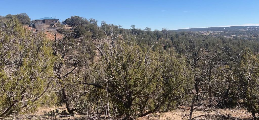 Image 23 of property listing at 63 Jennifer Drive, Sandia Park, NM 87047