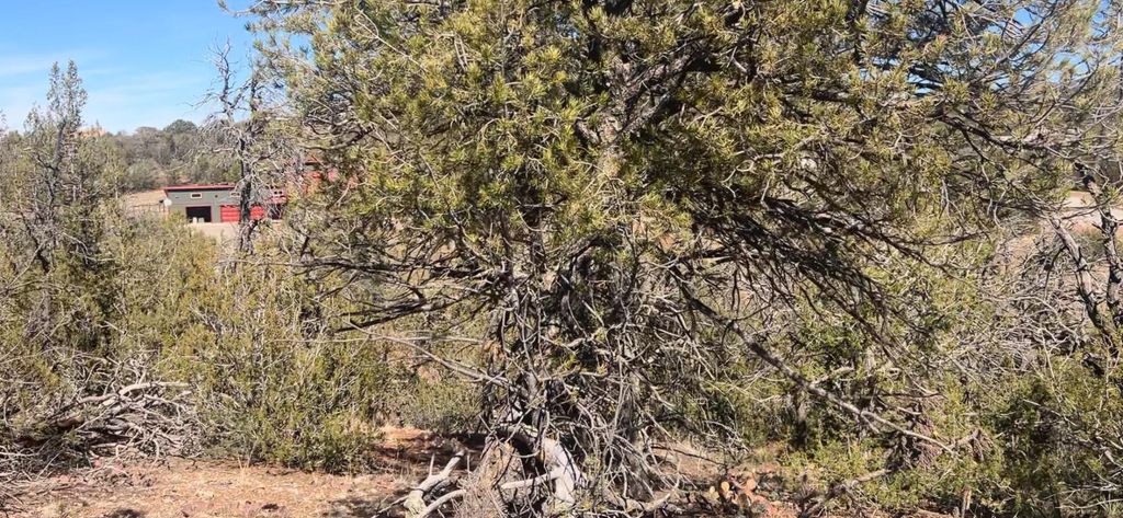 Image 24 of property listing at 63 Jennifer Drive, Sandia Park, NM 87047