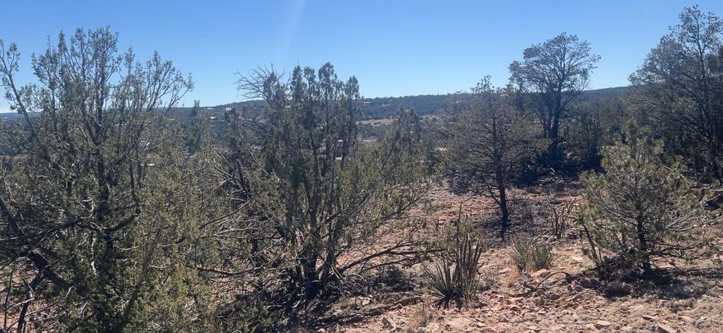 Image 25 of property listing at 63 Jennifer Drive, Sandia Park, NM 87047