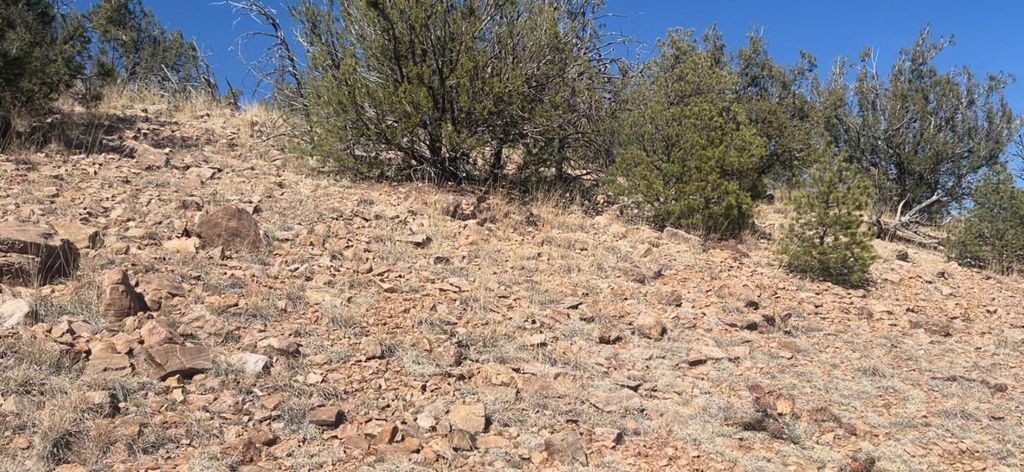 Image 30 of property listing at 63 Jennifer Drive, Sandia Park, NM 87047