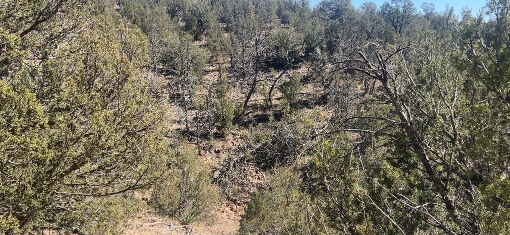 Image 31 of property listing at 63 Jennifer Drive, Sandia Park, NM 87047