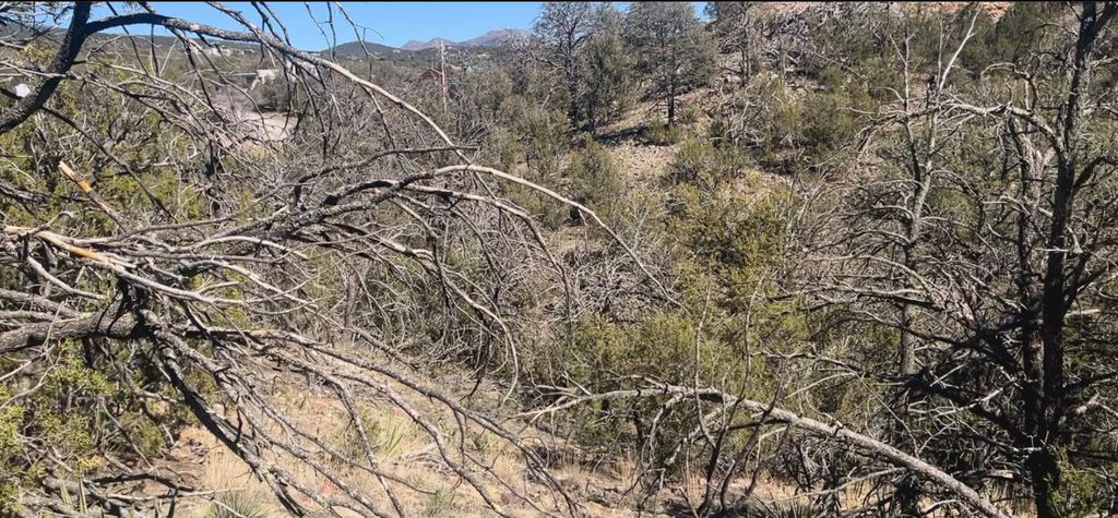 Image 33 of property listing at 63 Jennifer Drive, Sandia Park, NM 87047