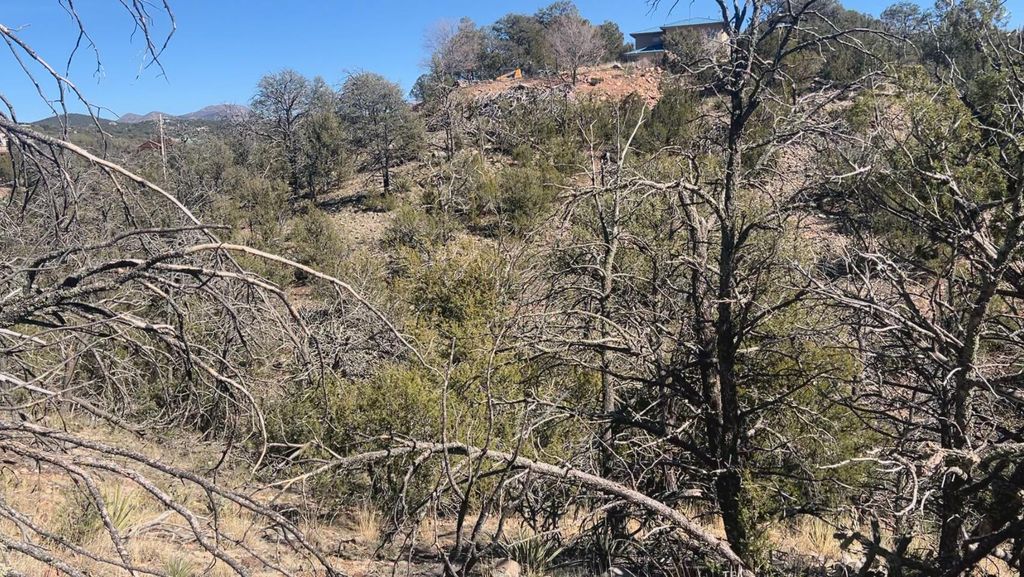 Image 34 of property listing at 63 Jennifer Drive, Sandia Park, NM 87047