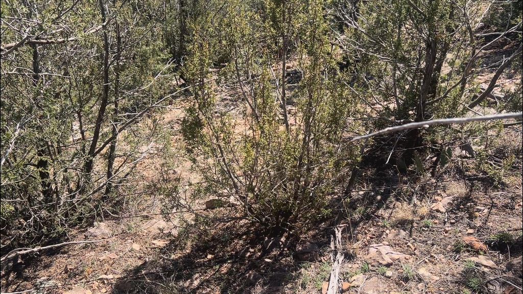 Image 35 of property listing at 63 Jennifer Drive, Sandia Park, NM 87047