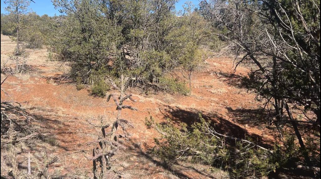 Image 36 of property listing at 63 Jennifer Drive, Sandia Park, NM 87047