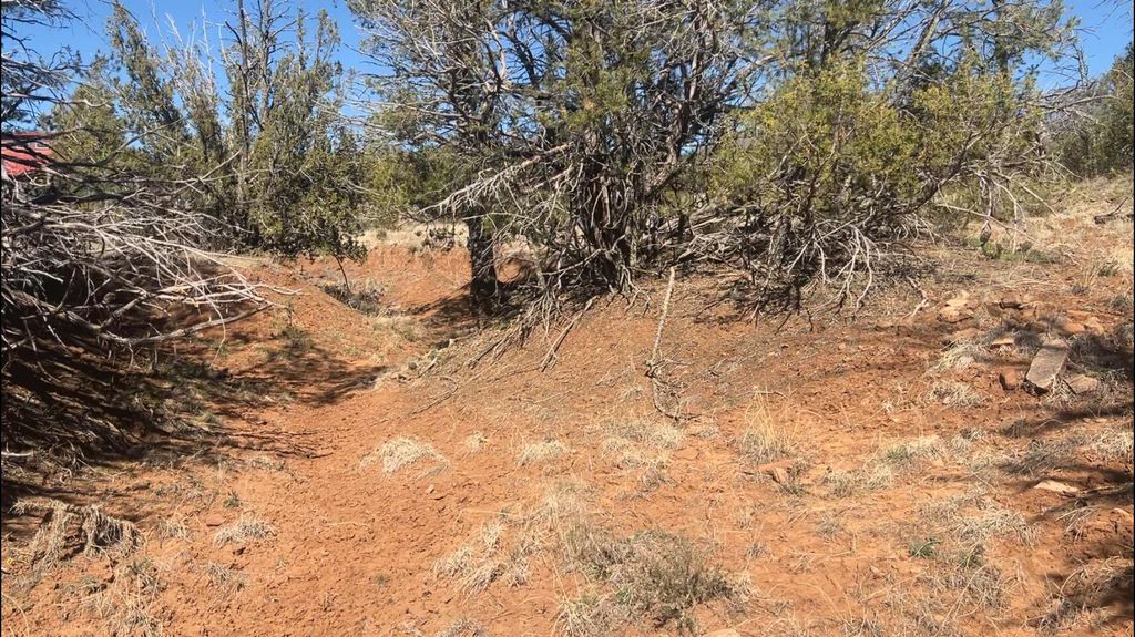 Image 37 of property listing at 63 Jennifer Drive, Sandia Park, NM 87047