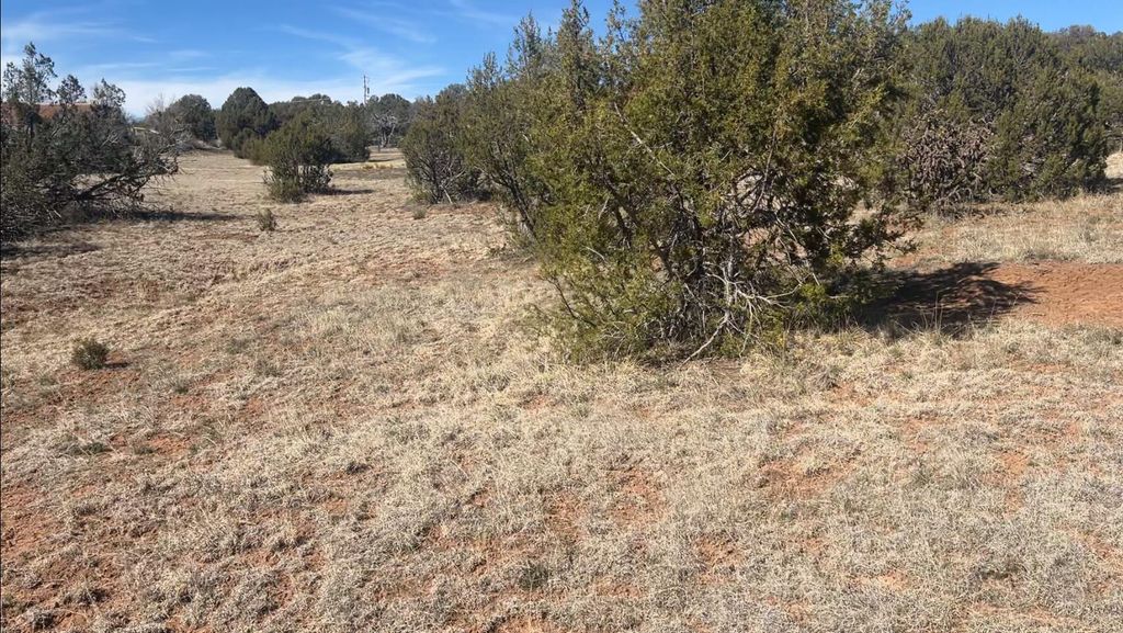 Image 42 of property listing at 63 Jennifer Drive, Sandia Park, NM 87047