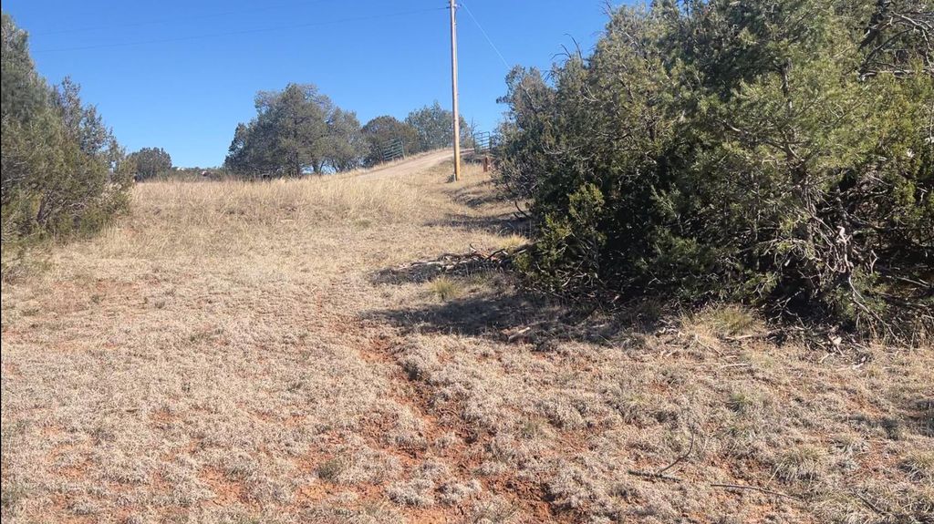 Image 44 of property listing at 63 Jennifer Drive, Sandia Park, NM 87047