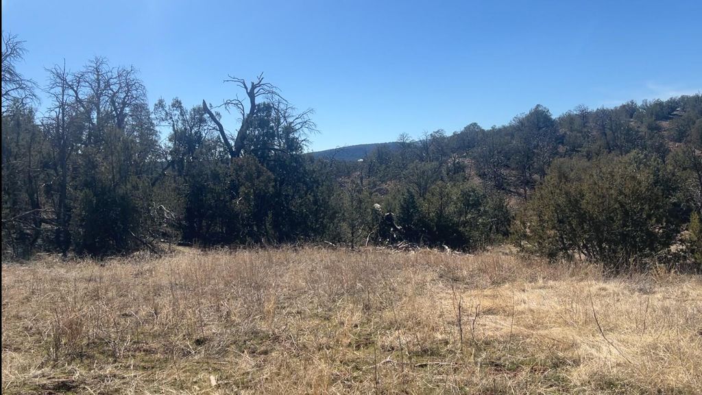 Image 46 of property listing at 63 Jennifer Drive, Sandia Park, NM 87047