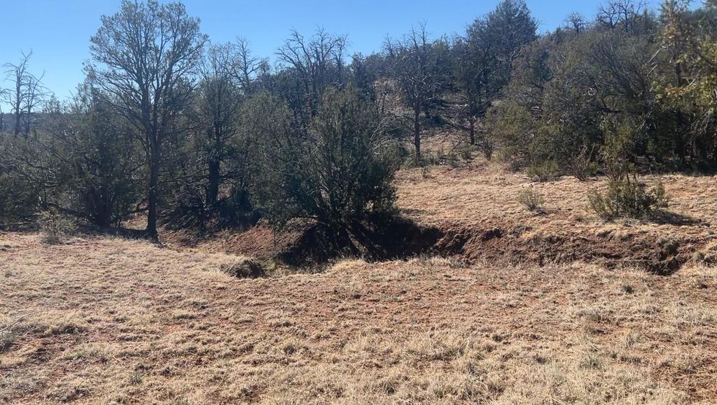 Image 5 of property listing at 63 Jennifer Drive, Sandia Park, NM 87047