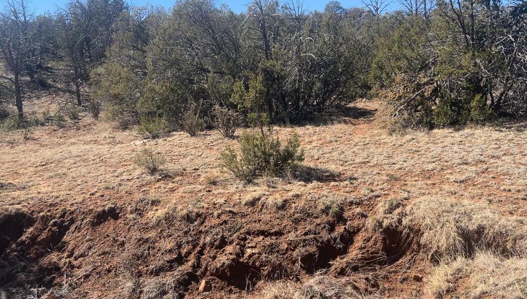 Image 6 of property listing at 63 Jennifer Drive, Sandia Park, NM 87047