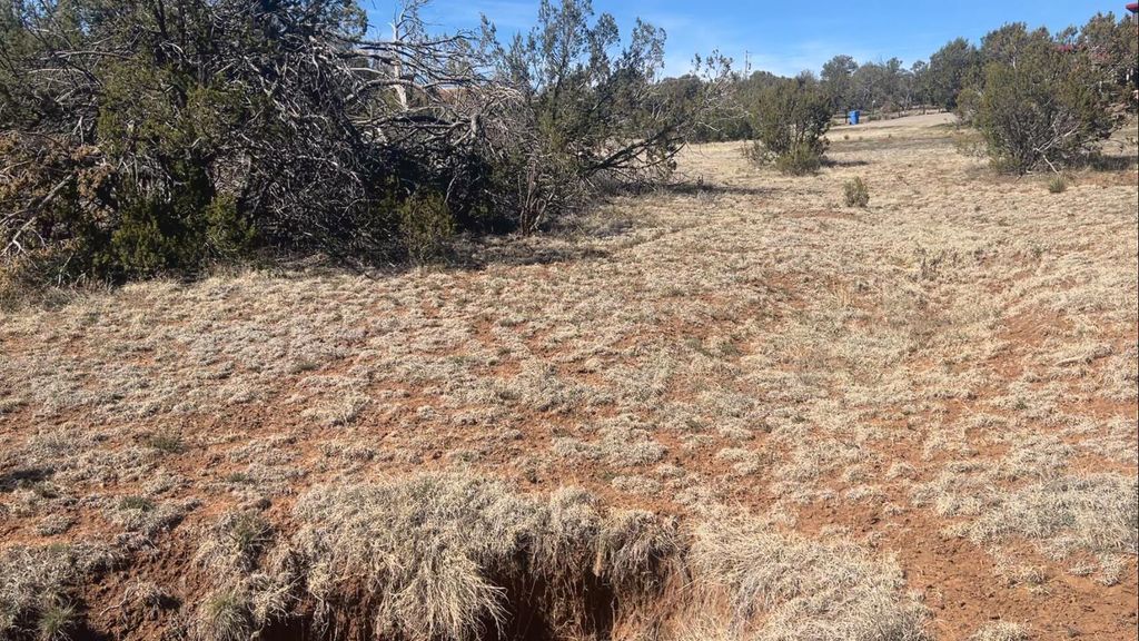 Image 7 of property listing at 63 Jennifer Drive, Sandia Park, NM 87047