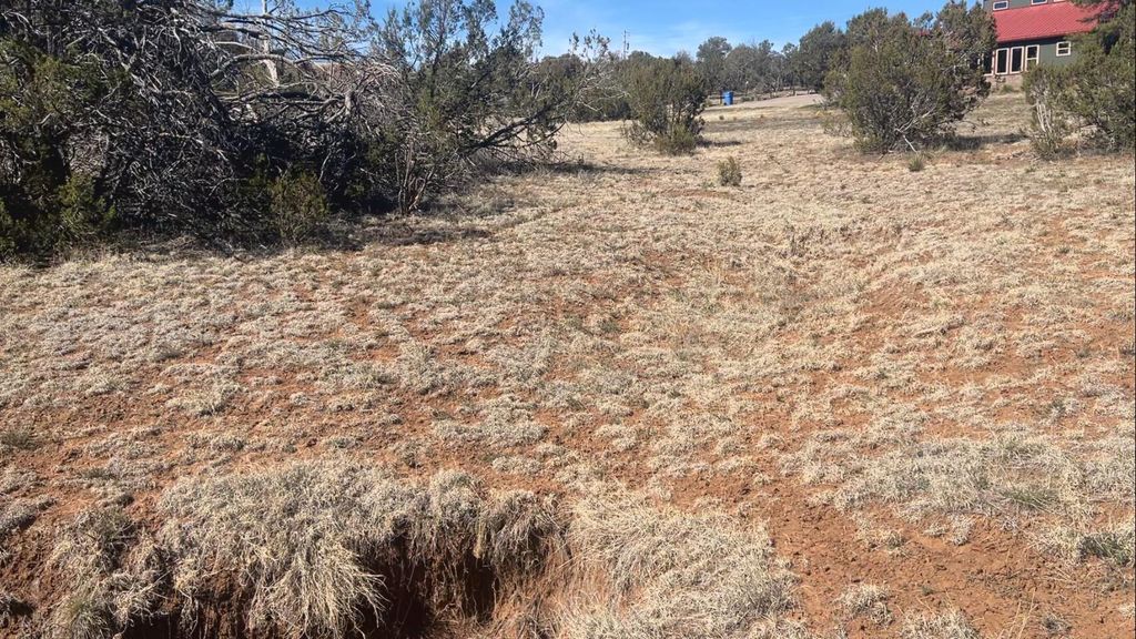 Image 8 of property listing at 63 Jennifer Drive, Sandia Park, NM 87047