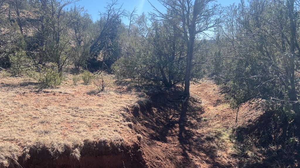 Image 9 of property listing at 63 Jennifer Drive, Sandia Park, NM 87047