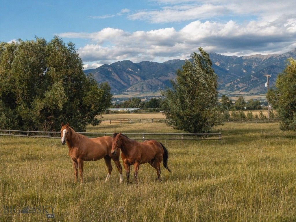 2380 Watts Lane, Bozeman, MT 59718 photo 7