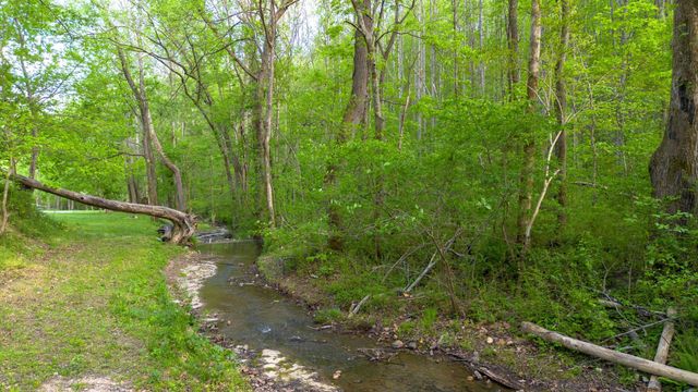 4805 Love Branch Rd, Hampshire, TN 38461
