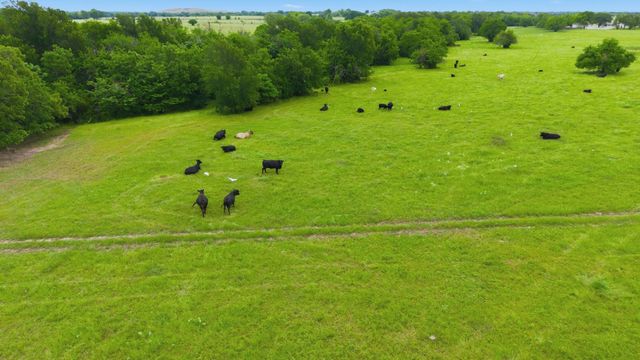 7635 County Road 4209, Campbell, TX 75422