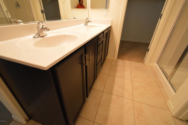 1523 W MARLIN Drive, Chandler, AZ 85286