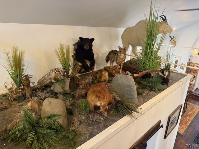 1967 Mexico Street, Albion, NY 13302