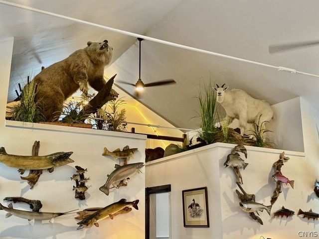 1967 Mexico Street, Albion, NY 13302