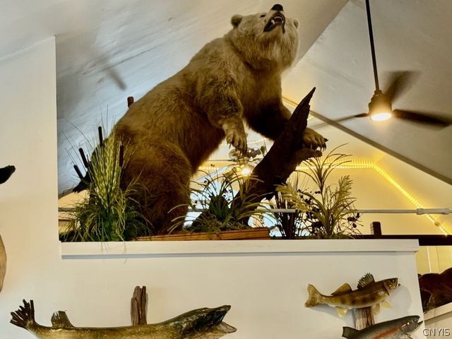 1967 Mexico Street, Albion, NY 13302