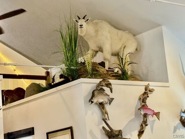 1967 Mexico Street, Albion, NY 13302