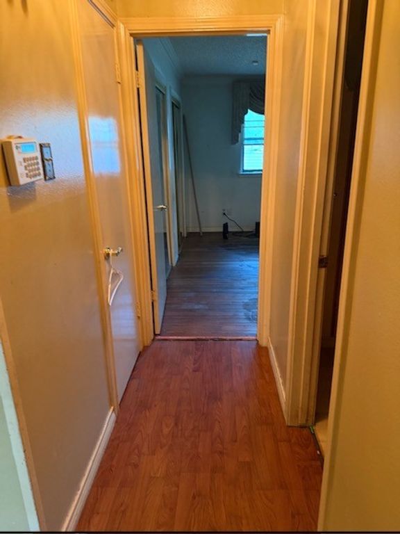 1907 Canelo Drive, Dallas, TX 75232 — photo 4