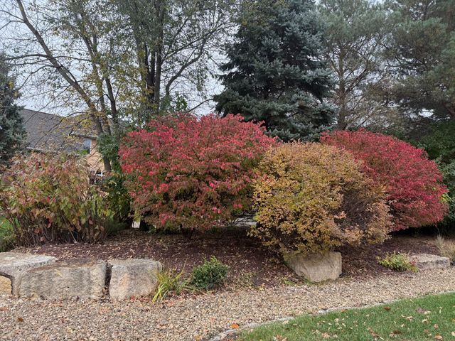 18677 Ponderosa Court, Eden Prairie, MN 55347