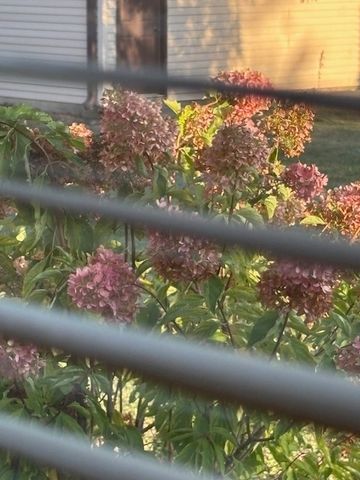 1305 Brian Place 3, Urbana, IL 61802