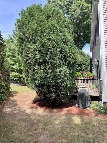 13 Waltham Dr 13, Plainville, MA 02762