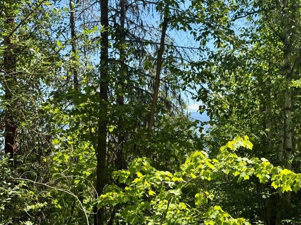 TBD PERELANDRA Lot 36,37,41 Cir, Other, WA 99121