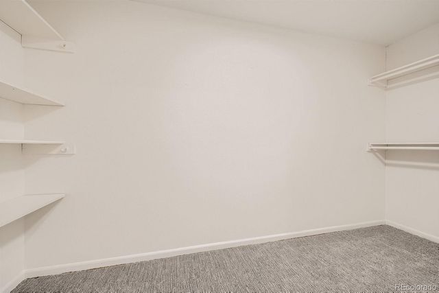 8787 S Deer Creek Canyon Road, Littleton, CO 80127