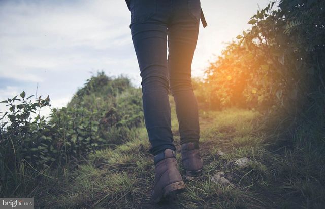 1168 CRESTED WOOD DR, Laurel, MD 20724