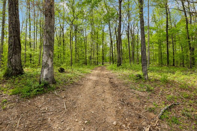 13128 Highway 49, Erin, TN 37061