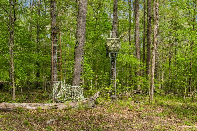 13128 Highway 49, Erin, TN 37061