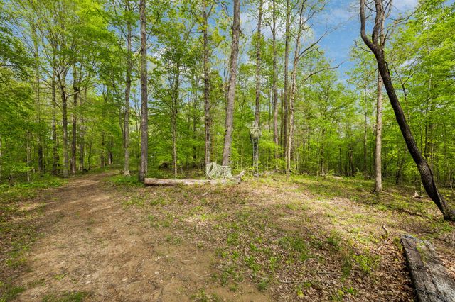 13128 Highway 49, Erin, TN 37061