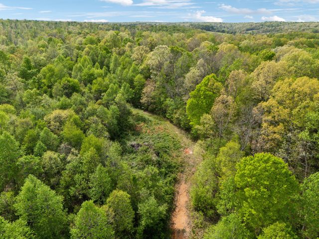 13128 Highway 49, Erin, TN 37061