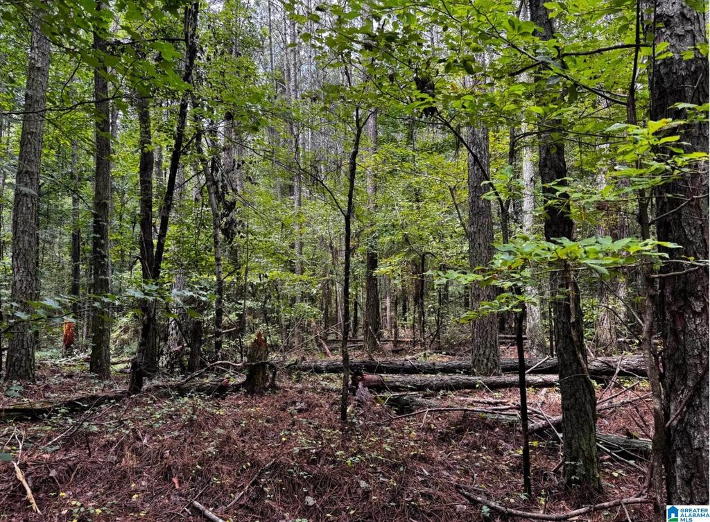 3050 MCCLENDON CHAPEL ROAD, Bessemer, AL 35022