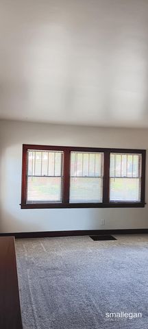 221 S Woodhams Street, Plainwell City, MI 49080