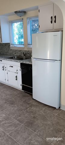 221 S Woodhams Street, Plainwell City, MI 49080