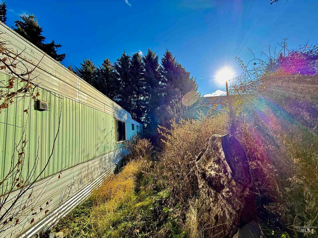 102 Woodworth Street, Uniontown, WA 99179 photo 14