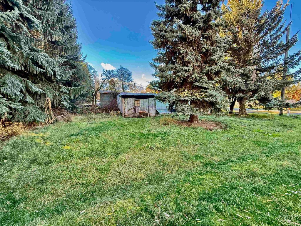 102 Woodworth Street, Uniontown, WA 99179 photo 17