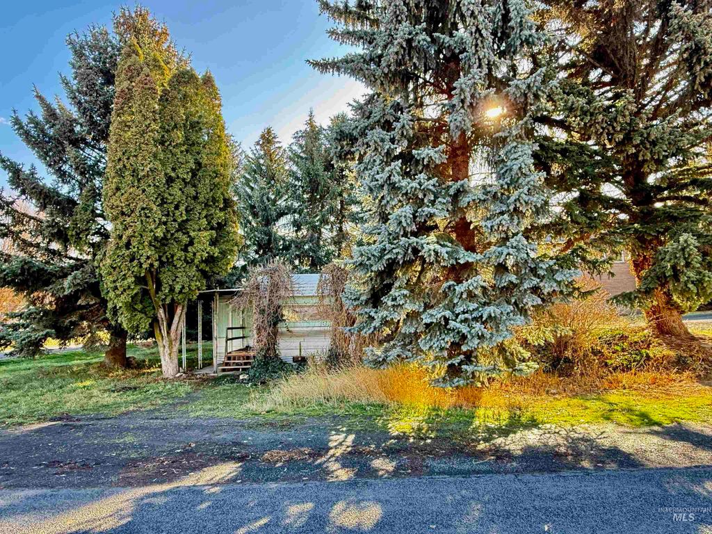 102 Woodworth Street, Uniontown, WA 99179 photo 19