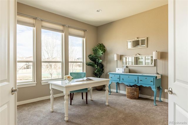 4378 Fell Mist Way, Castle Rock, CO 80109