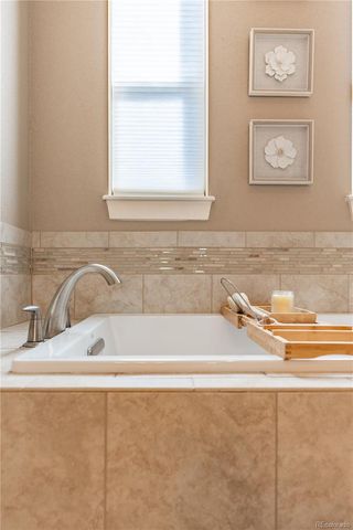 4378 Fell Mist Way, Castle Rock, CO 80109