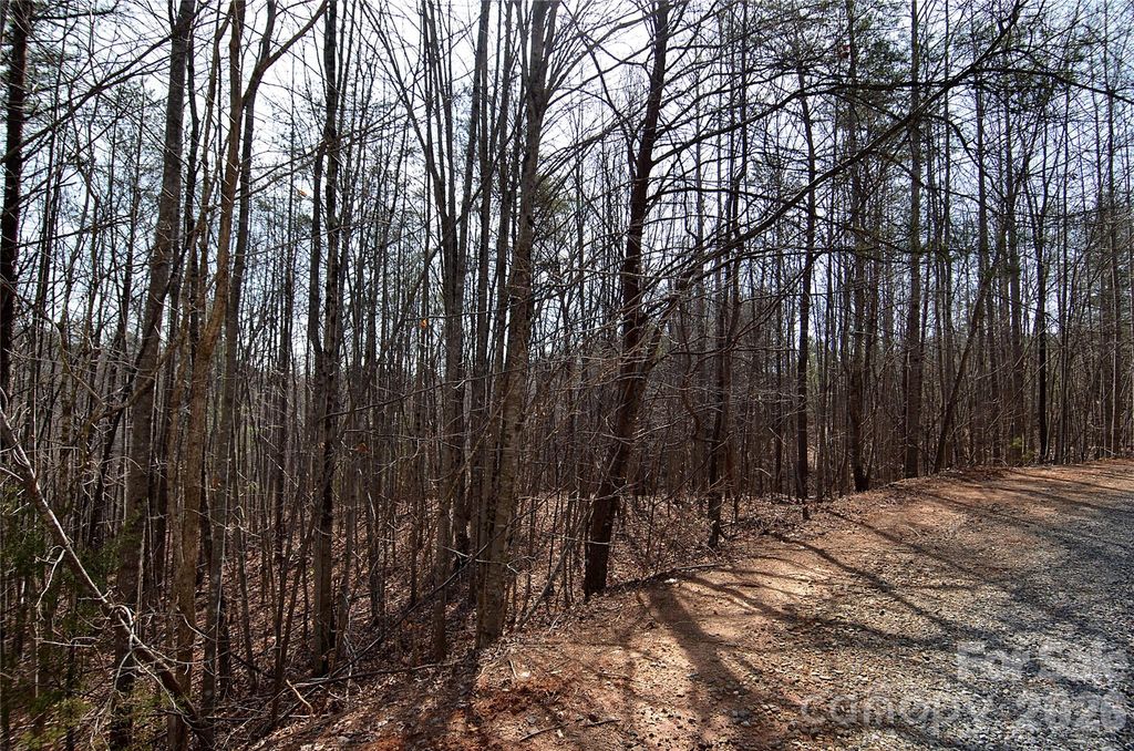 00 Sundance Drive 3-IV, Nebo, NC 28761