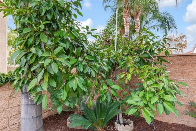 1617 Waterford, Redlands, CA 92374