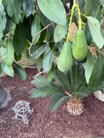 1617 Waterford, Redlands, CA 92374