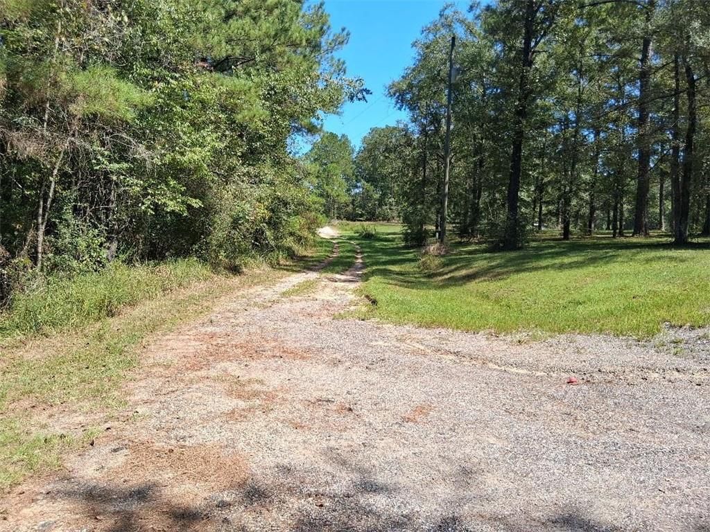 14765 Dolive Lane, Wilmer, AL 36587 — exterior