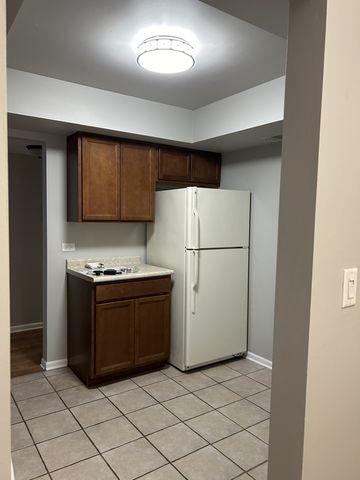 207 W Park Avenue 206, Libertyville, IL 60048